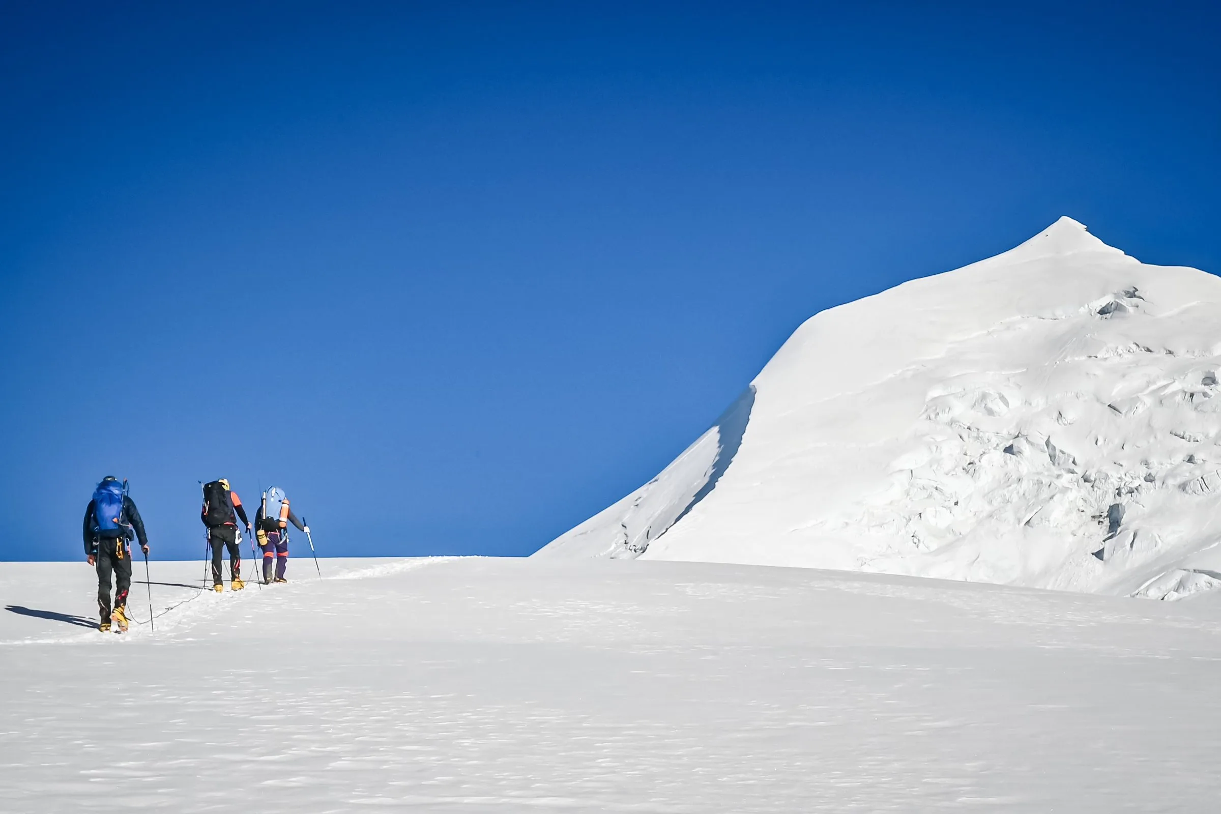 Working with Professionals